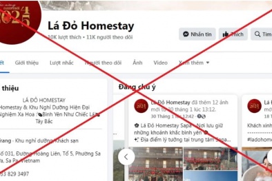 Nhận diện chiêu lừa tinh vi, móc tiền khách qua đặt phòng du lịch