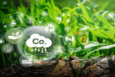 Cơ chế điều chỉnh biên giới carbon (CBAM): Kinh nghiệm quốc tế và hàm ý chính sách cho Việt Nam