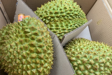 Trung Quốc ngày càng siết chặt quy định nhập khẩu sầu riêng