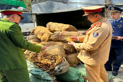 Cao Bằng phát hiện và xử lý lượng lớn lá cây thuốc lá sấy khô không rõ nguồn gốc, xuất xứ