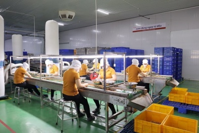 Sự thay đổi kỳ diệu trong việc áp dụng công cụ 5S tại doanh nghiệp