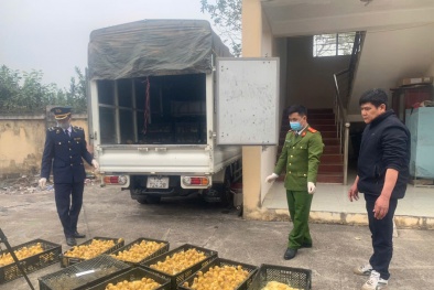 Lạng Sơn xử lý 2.800 vịt con giống không rõ nguồn gốc xuất xứ