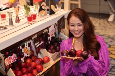 Thị trường trái cây nhập khẩu chính thức có thêm sự góp mặt của mận Úc