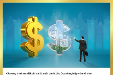 BAC A BANK tung combo ưu đãi giảm phí và lãi vay cho doanh nghiệp vừa và nhỏ