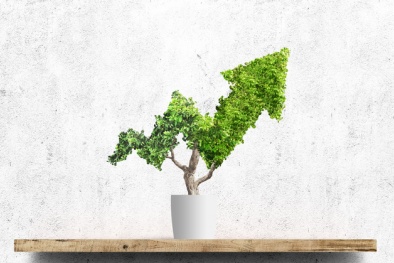 Công bố tiêu chuẩn giúp xây dựng kế hoạch chuyển đổi phát thải ròng bằng 0