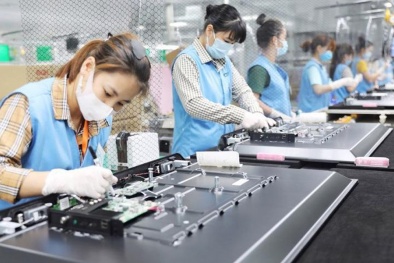 Quy định mới về thủ tục đầu tư đặc biệt