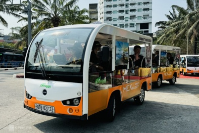 QCVN 119:2024/BGTVT về chất lượng đối với xe chở người bốn bánh có gắn động cơ