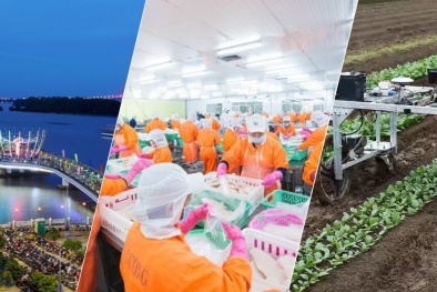 Cần Thơ tăng cường hỗ trợ doanh nghiệp nâng cao năng suất chất lượng