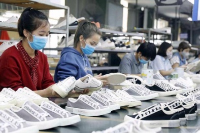 Doanh nghiệp da giày đẩy mạnh năng suất chất lượng tăng sức cạnh tranh