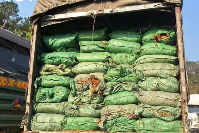 Cao Bằng thu giữ trên 30 tấn nguyên liệu thuốc lá nhập lậu 