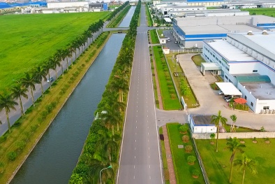 Nâng cao năng suất lao động - con đường ngắn nhất đưa nền kinh tế phát triển nhanh, bền vững