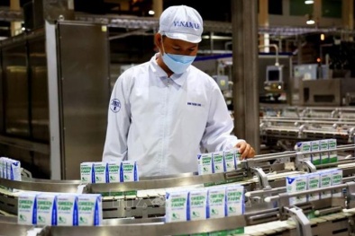 Tiêu chuẩn truy xuất nguồn gốc sản phẩm sữa, tạo thuận lợi cạnh tranh cho doanh nghiệp