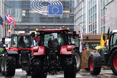 Liên minh châu Âu dự định siết chặt nhập khẩu thực phẩm không đáp ứng tiêu chuẩn