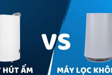 Chọn dùng máy hút ẩm hay máy lọc không khí vào mùa nồm ẩm là tiện ích nhất?