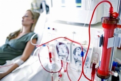 Phương pháp 'lọc máu giúp loại bỏ bệnh tật' không có tác dụng như quảng cáo