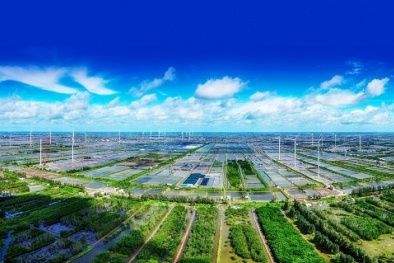 Chủ động triển khai các giải pháp thúc đẩy kinh tế tuần hoàn, sản xuất, tiêu dùng bền vững, thương mại bền vững