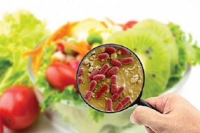 Xử lý nghiêm, đình chỉ hoạt động các cơ sở không bảo đảm điều kiện an toàn thực phẩm