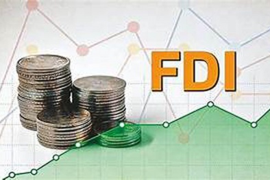 Ban hành Bộ tiêu chí đánh giá hiệu quả đầu tư nước ngoài tại Việt Nam