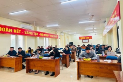 Chuyện ít biết về nguồn gốc cây táo muối Bàng La - Hải Phòng