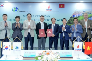 PV GAS PIPE hợp tác toàn diện với NEXTEEL: Tiếp tục vươn mình ra thị trường quốc tế
