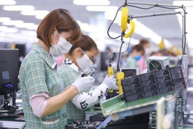 Công cụ MFCA hỗ trợ quản lý có hiệu quả chất lượng sản phẩm, hướng đến phát triển bền vững