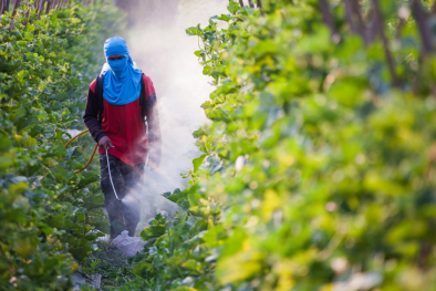 Liên minh châu Âu bỏ kế hoạch cắt giảm thuốc trừ sâu