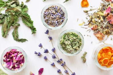 Thái Lan thông báo dự thảo tiêu chuẩn đối với sản phẩm thảo dược 