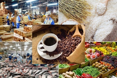 Cơ hội để cải thiện chất lượng nông sản Việt Nam khi xuất khẩu vào EU