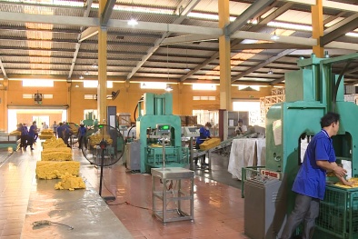 Cải tiến năng suất, chất lượng - chìa khóa thành công cho doanh nghiệp ngành công nghiệp