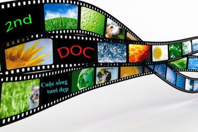 Quy định mới về quản lý xuất, nhập khẩu văn hóa phẩm không nhằm mục đích kinh doanh