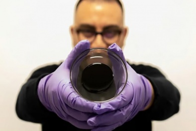 Nhựa đường tự phục hồi sử dụng bào tử thực vật để ngăn hình thành ổ gà