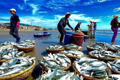 Thị trường xuất khẩu cá ngừ đầu năm 2025 nhiều biến động