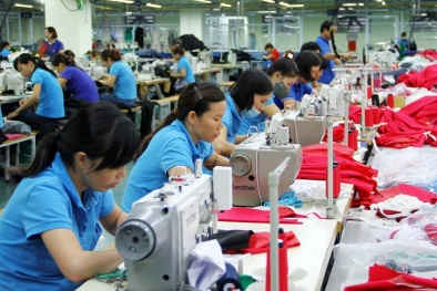 Văn hóa doanh nghiệp - yếu tố quan trọng ảnh hưởng đến năng suất và chất lượng