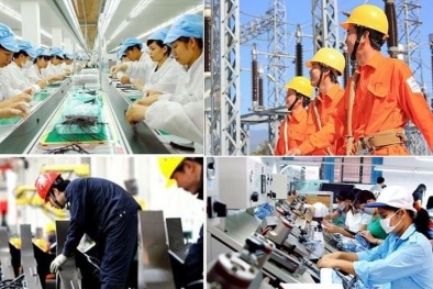 Quy định về quản lý lao động, tiền lương, thù lao, tiền thưởng trong doanh nghiệp nhà nước