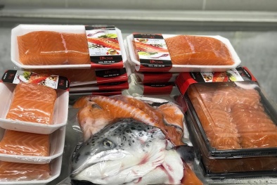 Công ty Bách Sơn nhập khẩu 27 thùng cá hồi bị nhiễm virus