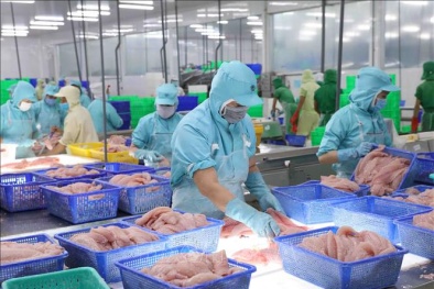 Doanh nghiệp thuỷ sản lo thiệt hại do thêm thủ tục hành chính