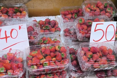 Dâu tây 'giá rẻ như cho' tràn ngập thị trường gây lo ngại về nguồn gốc và chất lượng