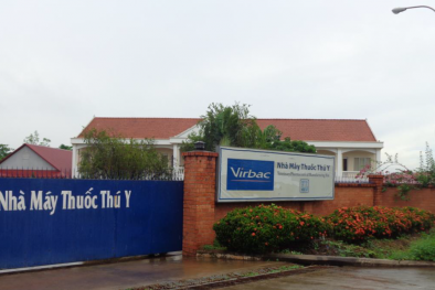 Hai doanh nghiệp tại Đồng Nai bị xử phạt do vi phạm quy định về môi trường