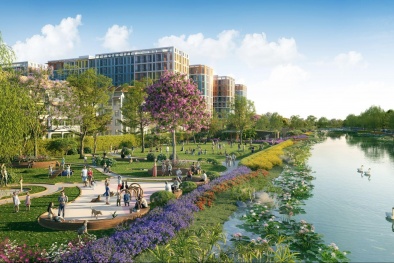 Quỹ hàng đợt 2 của Sun Group tại Hà Nam bán hết gần 80% chỉ sau 2 giờ mở bán