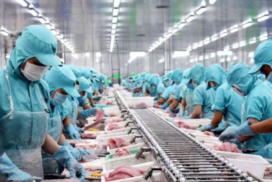 Tiêu chuẩn ISO 22000 đưa ra các yêu cầu toàn diện về an toàn thực phẩm