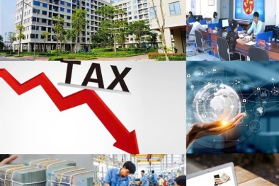 Giải pháp trọng tâm về cắt giảm thủ tục hành chính, cải thiện môi trường kinh doanh