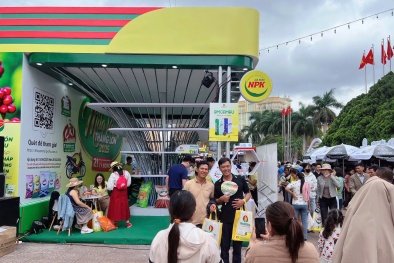 Phân bón Cà Mau cung cấp bộ giải pháp dinh dưỡng toàn diện giúp nâng cao năng suất cây cà phê 