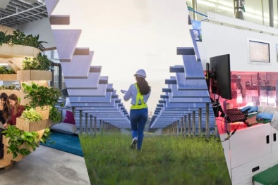 Việc làm xanh góp phần giải quyết vấn đề môi trường và hướng đến phát triển bền vững