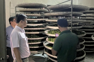 Lạng Sơn: Hỗ trợ doanh nghiệp, HTX áp dụng hệ thống truy xuất nguồn gốc sản phẩm, hàng hóa