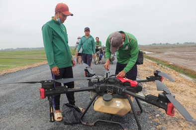Đồng Tháp ứng dụng khoa học công nghệ nâng cao năng suất chất lượng sản phẩm nông nghiệp