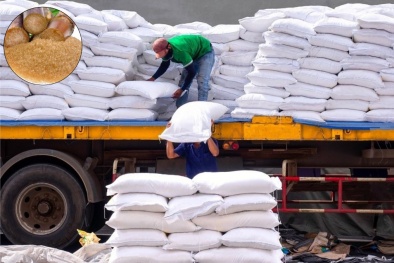 Áp dụng biện pháp chống lẩn tránh phòng vệ thương mại đối với một số sản phẩm đường mía