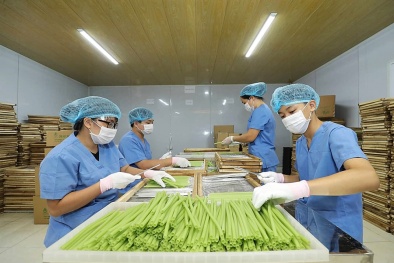 Nâng cao năng lực sản xuất tối ưu hóa chi phí để doanh nghiệp chuyển đổi xanh hiệu quả