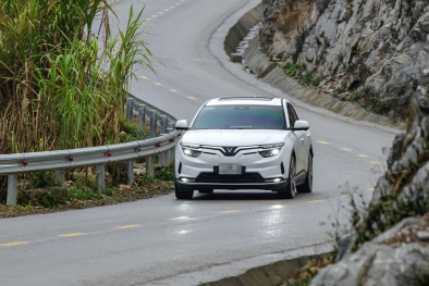 Cú lột xác của Green Future và cơ hội vươn mình chinh phục thị trường quốc tế