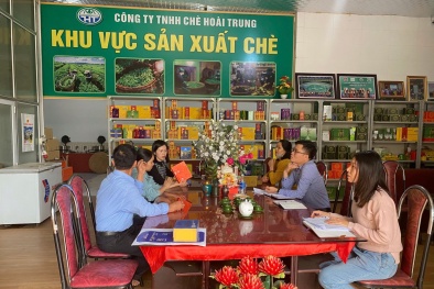 Phú Thọ: Hỗ trợ doanh nghiệp đổi mới công nghệ, áp dụng tiêu chuẩn quản lý tiên tiến 