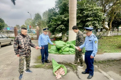 Lạng Sơn phát hiện 25 bao móng giò đông lạnh không rõ nguồn gốc xuất xứ đang lưu thông